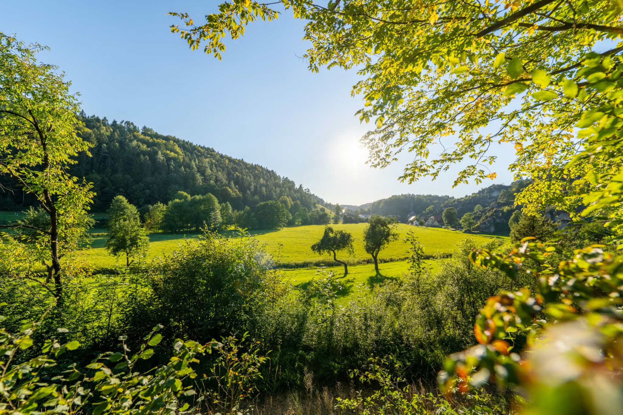 Über das Ahorntal